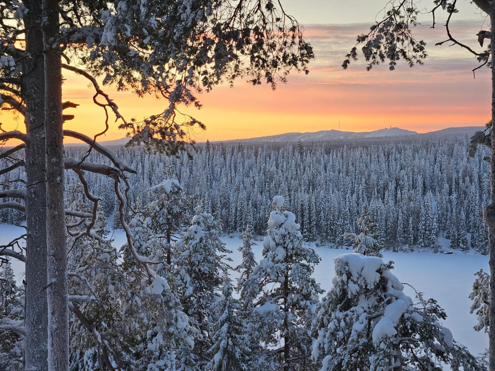 Hilltop At Porontima Alpehytte Kuusamo